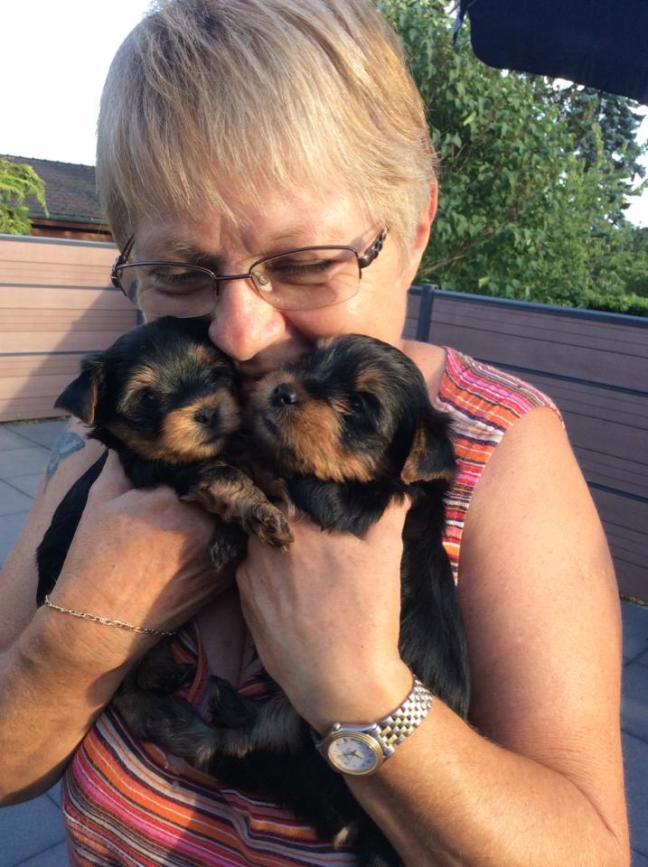 11698617_889091277829570_1900453345052127170_n